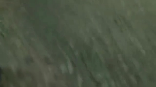 哈尼猫猫猫_啪啪_二月十二号