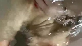 情迷兽世狂拽兽夫火辣辣西安夫妻找有缘人 3
